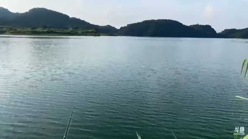 【2021-07-19 17点场】魅力生活i：水库守大鱼第一天