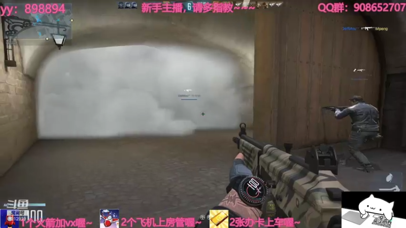 【2021-07-18 16点场】一只小小流浪猫：小菜鸟出没，请注意！！！