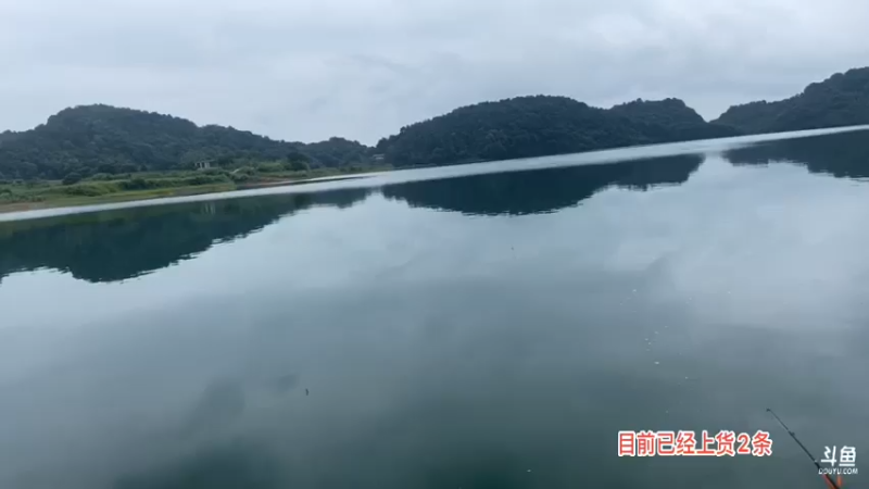 【2021-07-19 11点场】魅力生活i：水库守巨货第一天