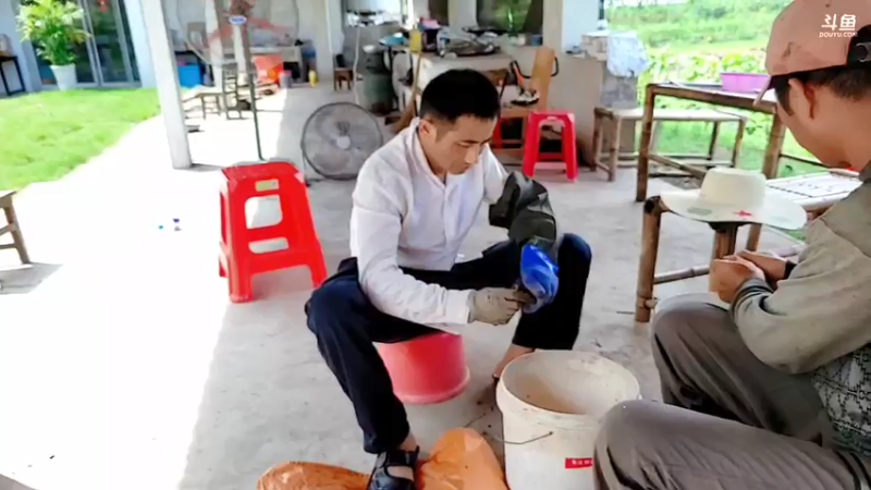 【2021-07-20 14点场】洪湖小肖：乡村牛人总决赛6点开始