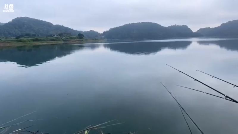 【2021-07-20 06点场】魅力生活i：早起水库守巨货