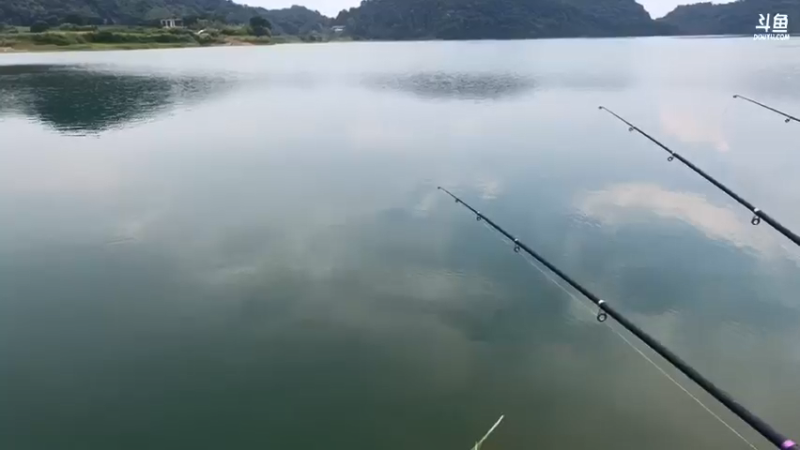 【2021-07-20 17点场】魅力生活i：下午接着守大货