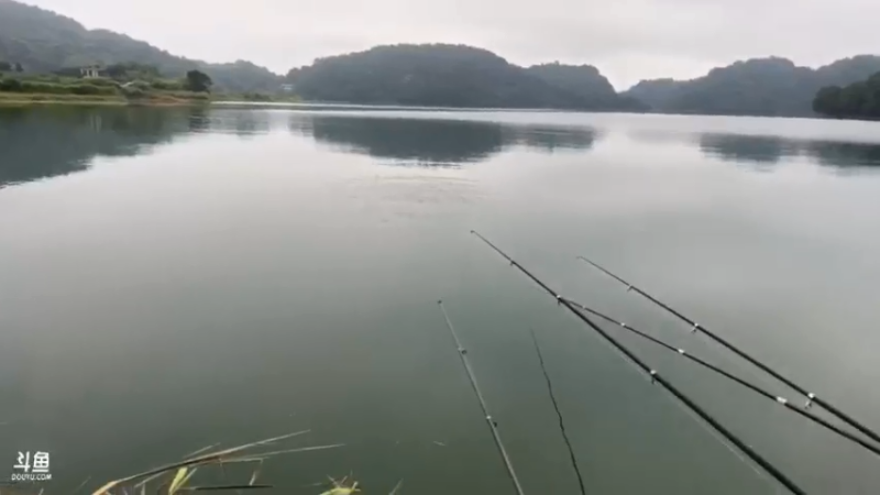 【2021-07-20 06点场】魅力生活i：早起水库守巨货