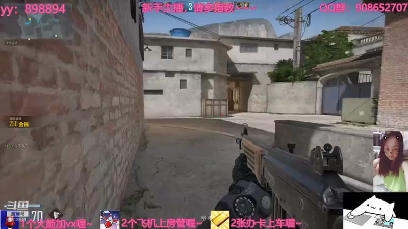 【2021-07-20 19点场】一只小小流浪猫：小菜鸟出没，请注意！！！