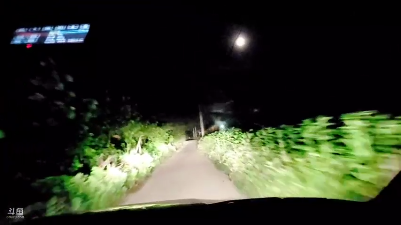 【2021-07-19 23点场】洪湖小肖：天黑收甲鱼钩126个