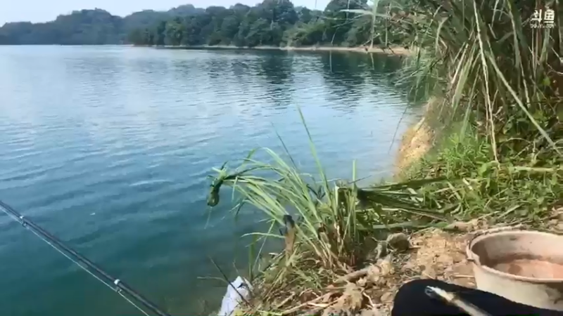 【2021-07-20 16点场】魅力生活i：下午接着守大货