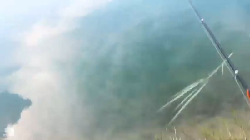 【2021-07-20 17点场】魅力生活i：下午接着守大货