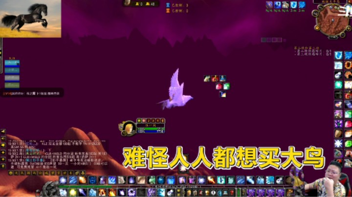 魔兽TBC怀旧服：体验过小鸟的移速吗？估计很难会有人不买大鸟！