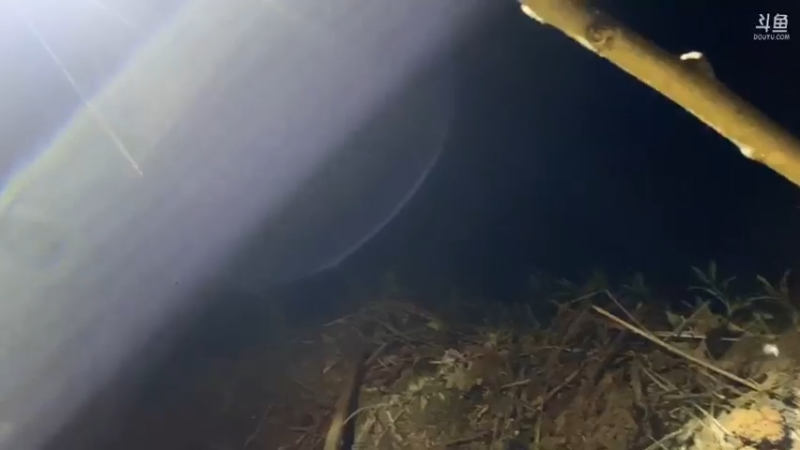 【2021-07-20 21点场】魅力生活i：下午接着守大货