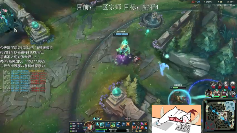 【2021-07-15 22点场】天才辅助杨小杨：颠覆你对辅助的认知 已基本确定出席德杯！