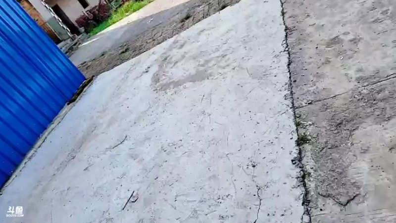 【2021-07-20 08点场】洪湖小肖：收篓子晚上牛人总决赛9点左右开播