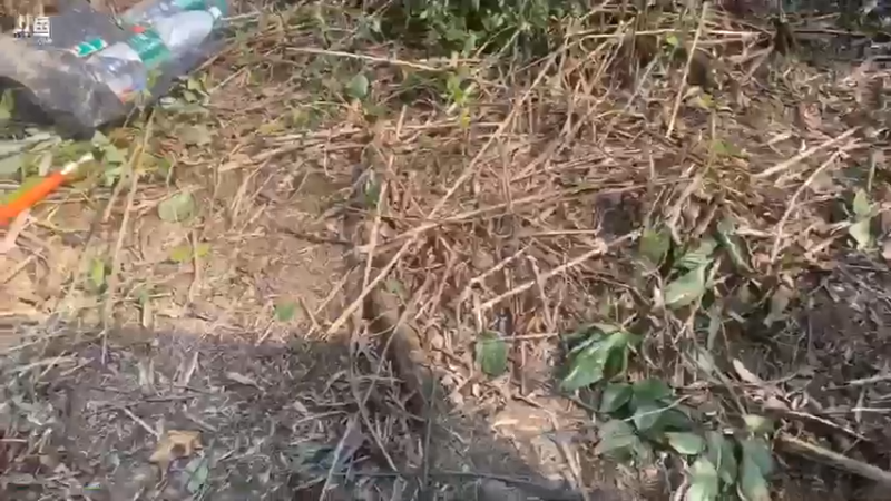 【2021-07-20 16点场】魅力生活i：下午接着守大货