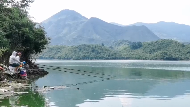 【2021-07-20 10点场】中华户外钓鱼：通山钓翘嘴
