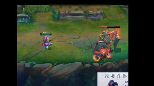 螳螂这该死的压迫感