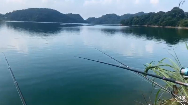 【2021-07-20 16点场】魅力生活i：下午接着守大货