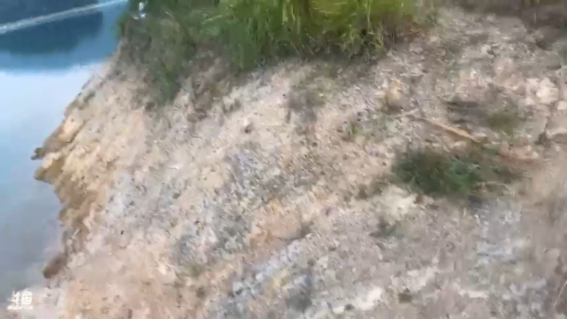 【2021-07-21 19点场】魅力生活i：早上守巨货第四天