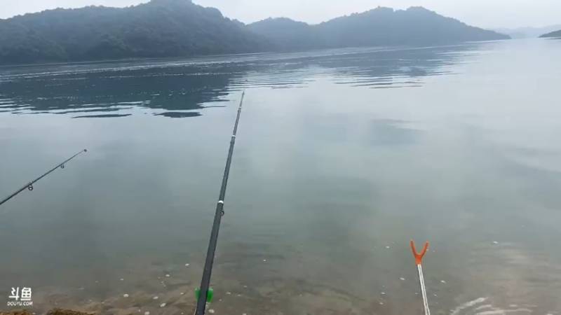 【2021-07-21 08点场】魅力生活i：早上守巨货第四天