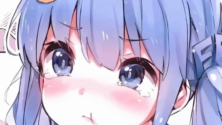 菜菜兔兔兔兔兔兔