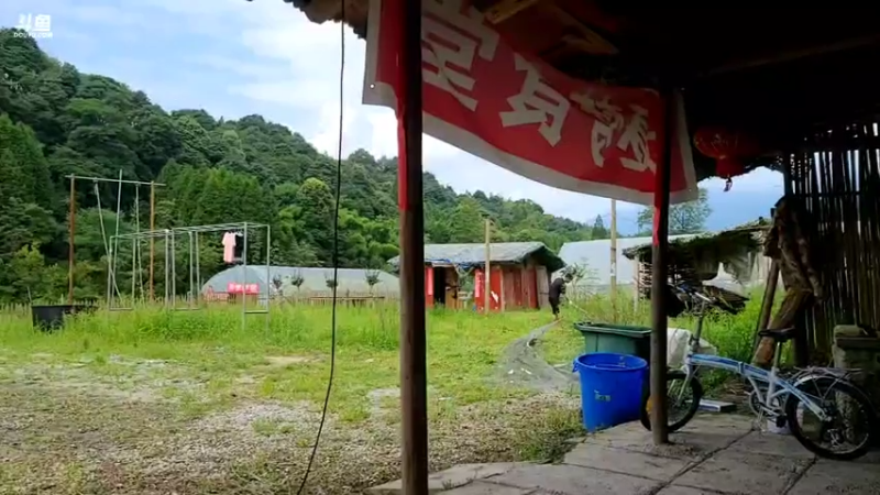 【2021-07-21 10点场】逐梦兄弟：美好的一天 5025477