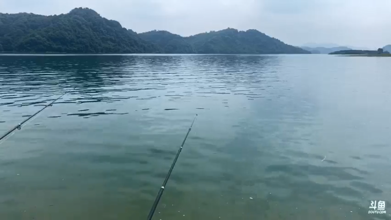 【2021-07-21 10点场】魅力生活i：早上守巨货第四天