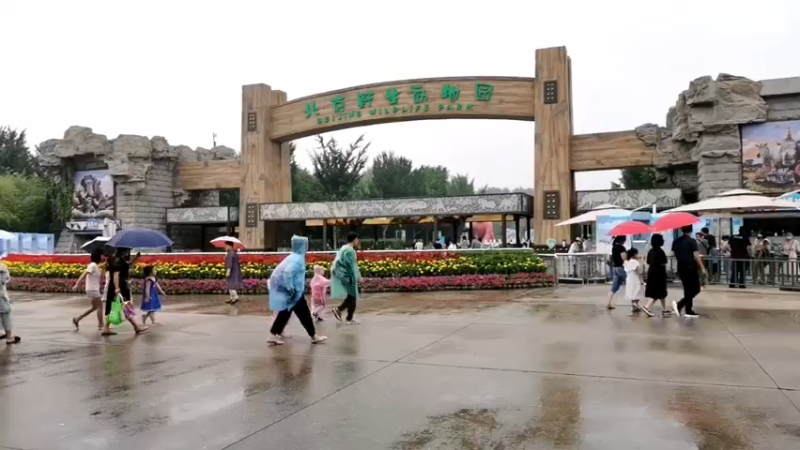 【2021-07-21 12点场】北京野生动物园：探秘神奇动物江湖