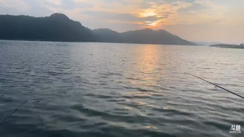 【2021-07-21 06点场】魅力生活i：早上守巨货第四天