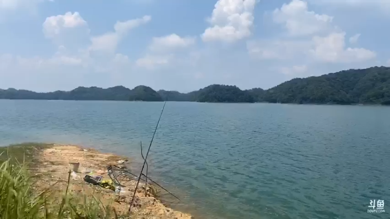 【2021-07-21 14点场】魅力生活i：早上守巨货第四天