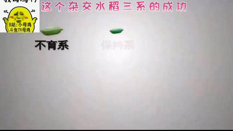 这个杂交水稻三系的成功