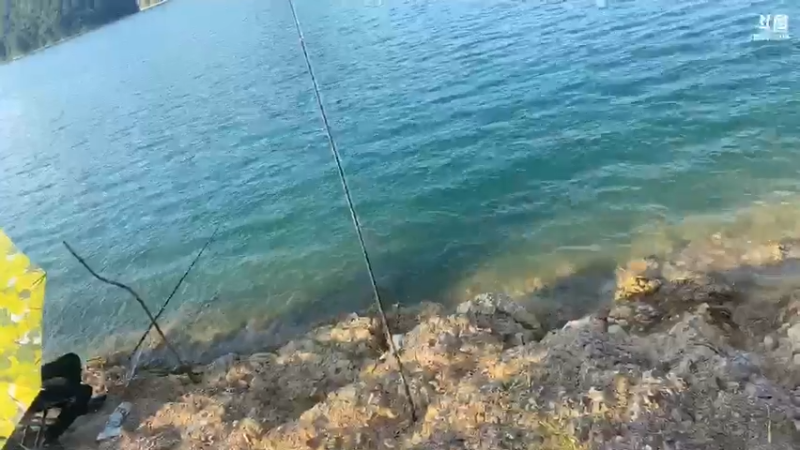 【2021-07-21 17点场】魅力生活i：早上守巨货第四天