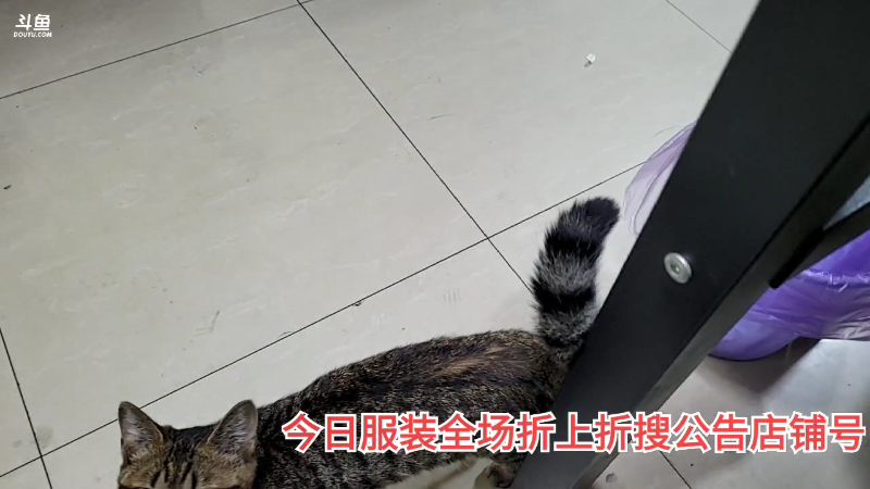 我在斗鱼看黑人毅直播户外