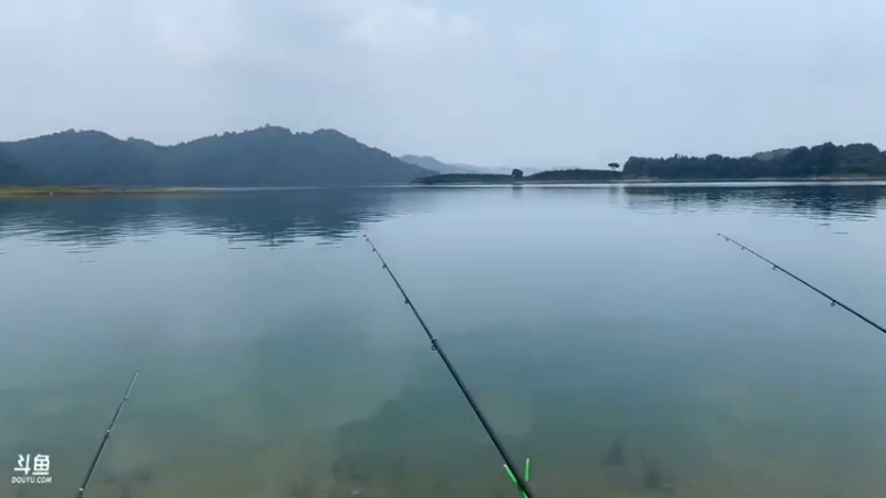 【2021-07-22 12点场】魅力生活i：最后一天会有巨货嘛？