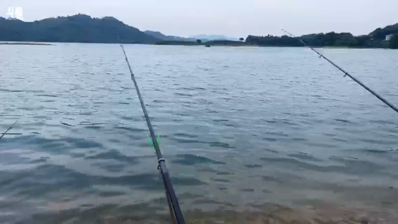 【2021-07-22 17点场】魅力生活i：最后的巨货希望会有嘛？