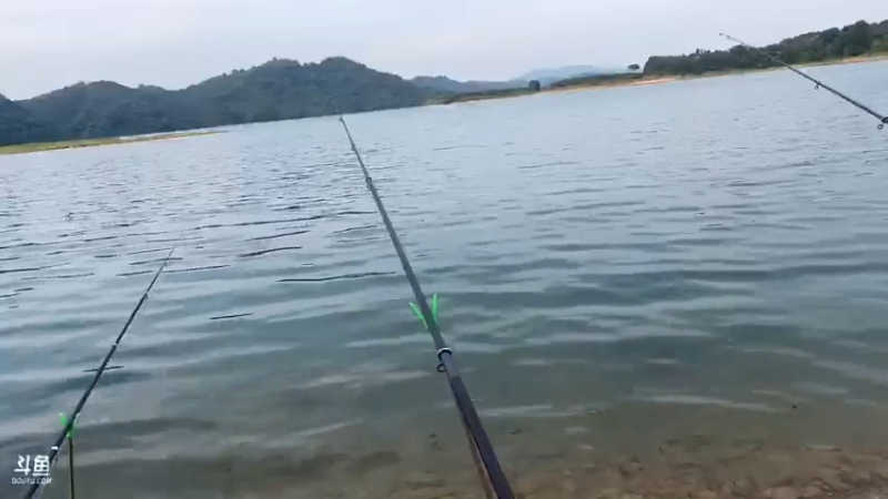 【2021-07-22 18点场】魅力生活i：最后的巨货希望会有嘛？