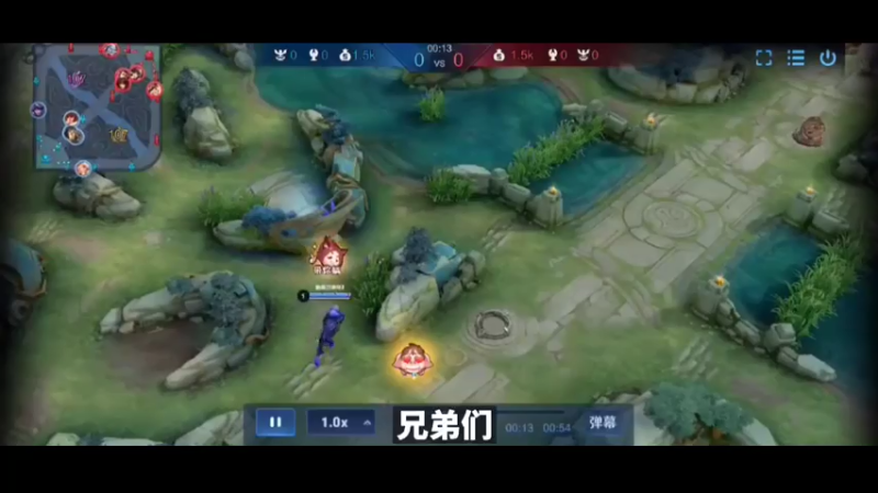 如果让你选你是选绿标魔法师鸟人当队友，还是国服凡人老虎当队友#王者荣耀