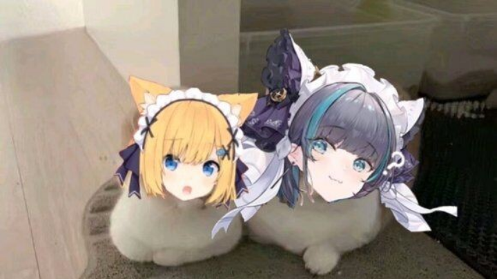 魔兽