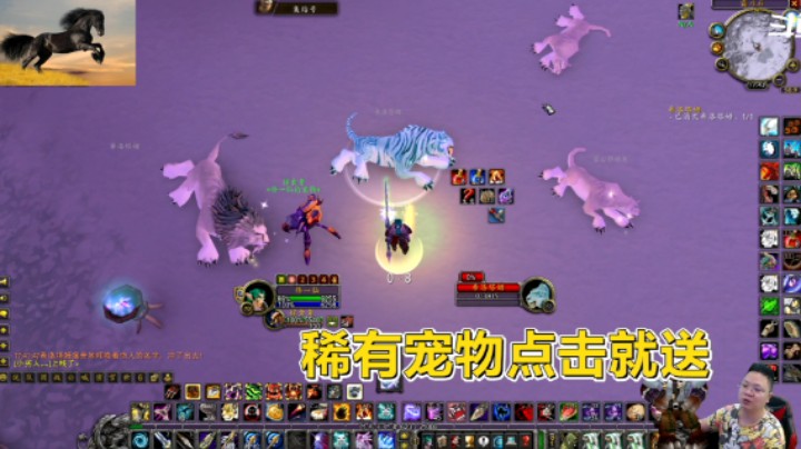 魔兽TBC怀旧服：部落专属稀有宠物，联盟也能获得了！点击就送