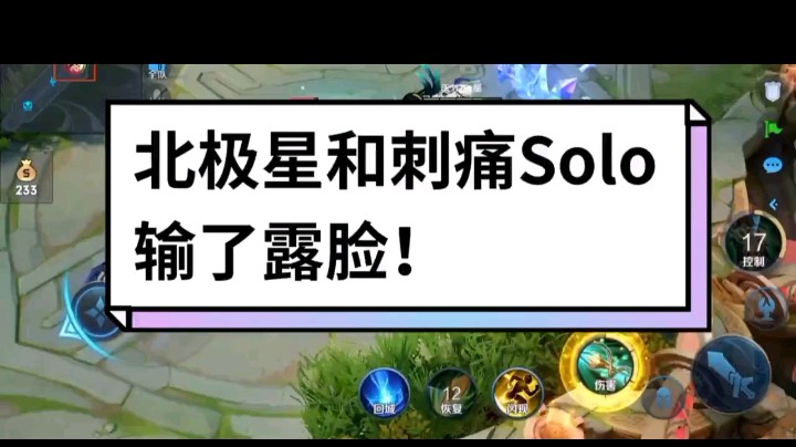 王者荣耀北极星