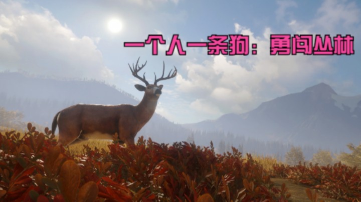 一个人一条狗，勇闯丛林，危险四伏