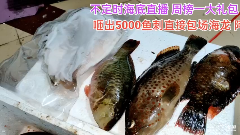 【2021-07-21 22点场】海道丶：今晚干干干！