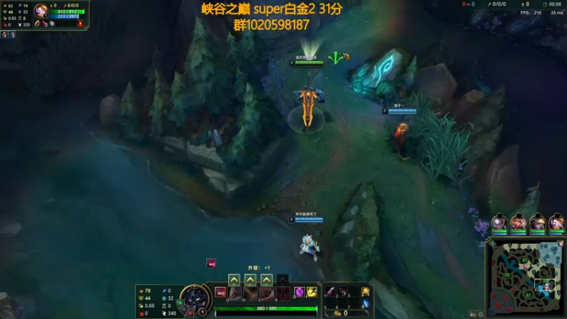 【2021-07-22 10点场】撅腚鸭：华贵白金猪
