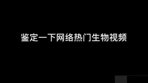 起来删！
