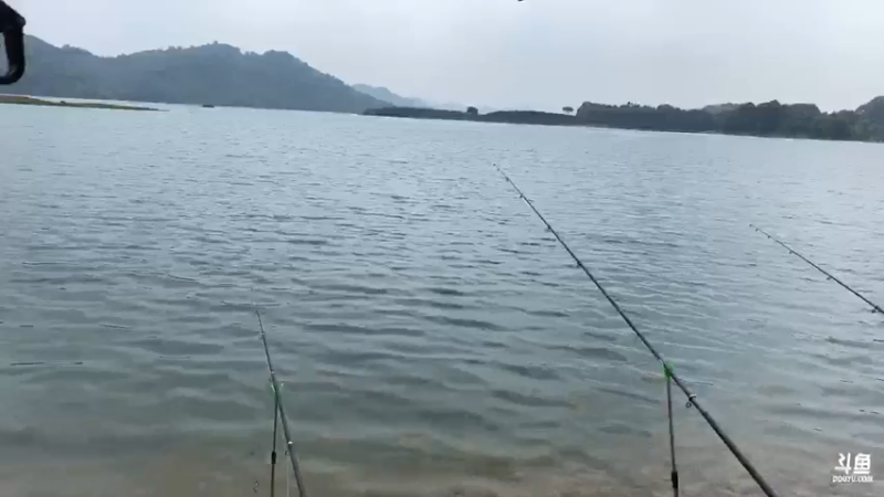 【2021-07-22 10点场】魅力生活i：最后一天会有巨货嘛？