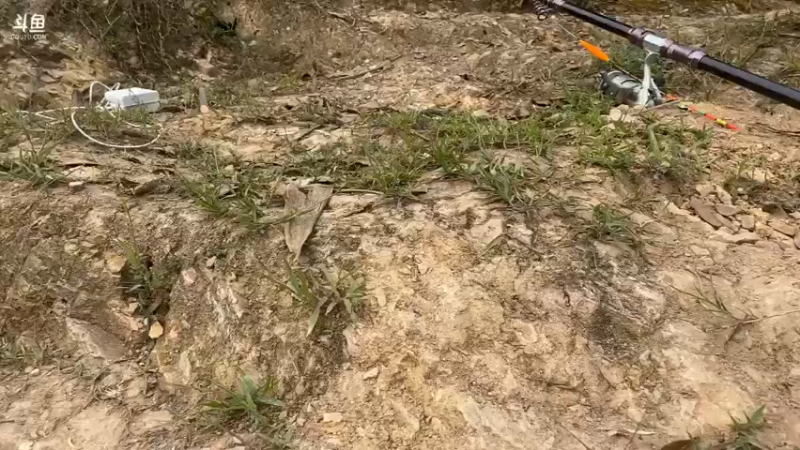 【2021-07-22 07点场】魅力生活i：最后一天会有巨货嘛？