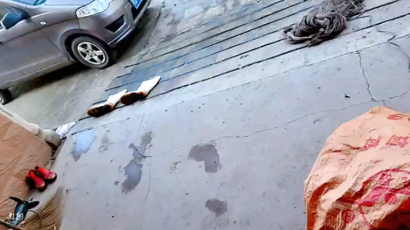 【2021-07-22 08点场】洪湖小肖：收花篓子200个9点左右开播