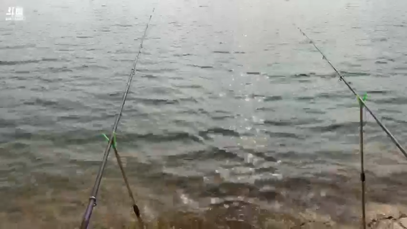 【2021-07-22 08点场】魅力生活i：最后一天会有巨货嘛？