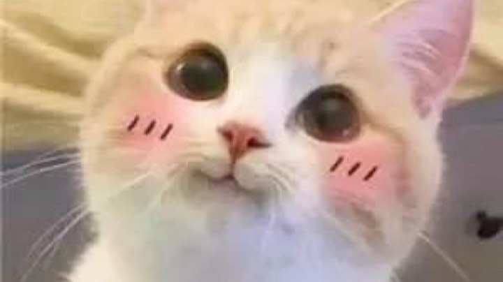 回流玩家体验新版本