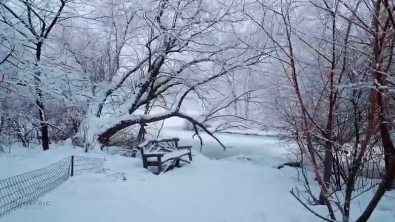 14-清爽夏日蓝光大雪 邀你进入激冻时刻
