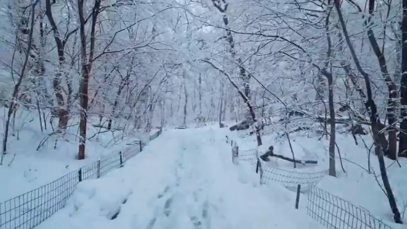 2-清爽夏日蓝光大雪 邀你进入激冻时刻