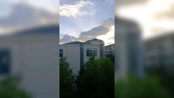 今日份独角兽。