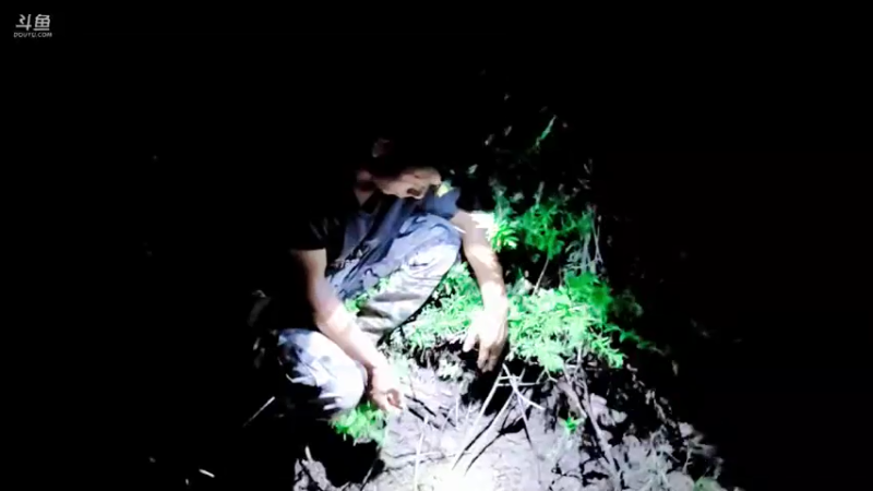 【2021-07-22 23点场】洪湖小肖：收花篓子200个9点左右开播